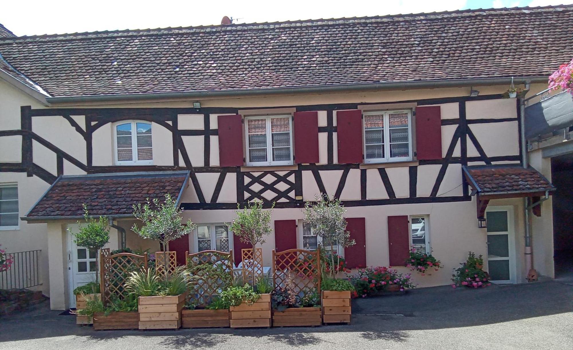 Le Repaire Des Hirondelles - Le Colombage Villa Scharrachbergheim-Irmstett Exterior photo